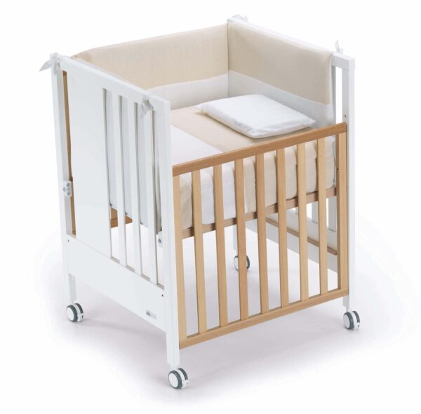 CAM Tribeca Evolutionary Cot Puppies - Image 9