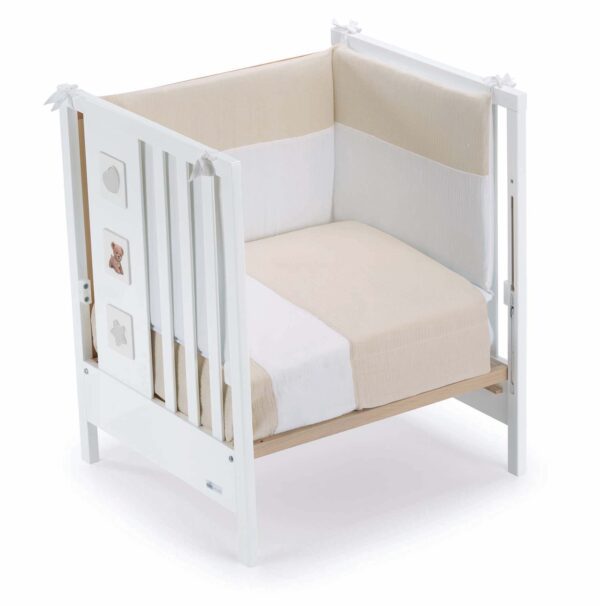 CAM Tribeca Evolutionary Cot Puppies - Image 12